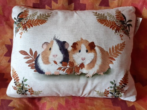 Asda george guinea pig cushion - asda,