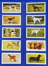 Hornimans Tea Cards DOGS