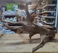 Large Corbo Root Aquarium Bogwood Vivarium Root Driftwood Catfish Cave