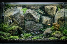 Fish Tank Background Backing