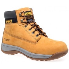 Dewalt Apprentice Honey Safety