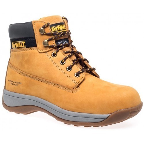 Dewalt apprentice honey - apprentice,