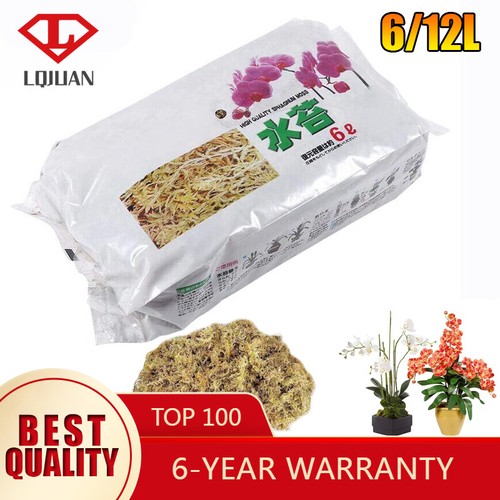 12l natural dried plant moss - dried,