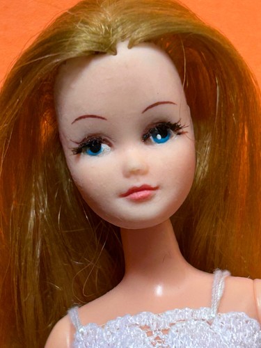 Vintage 1970s palitoy - vintage,