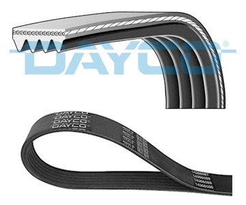 Dayco 4pk885 ribbed - dayco, for