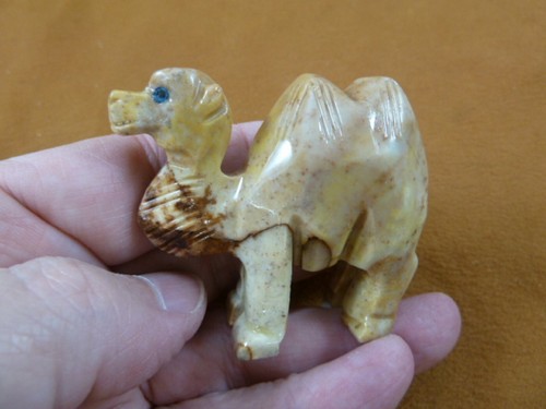 Tan camel - (y-cam-304),