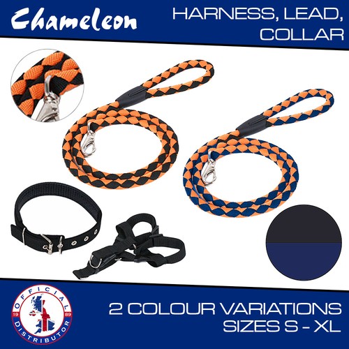 Step dog harness - step-in,