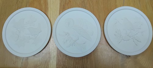 Akita jaffa rose white bird - jaffa,