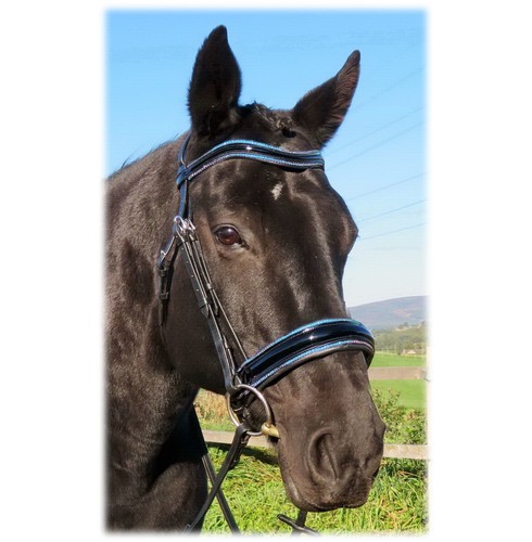 Fss anatomical bridle - fss,
