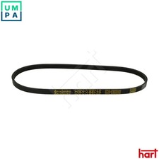 VRIBBED BELT 334 034 FOR GEO