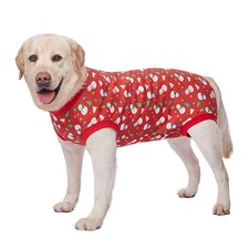 Thin Clothes for Big Dogs