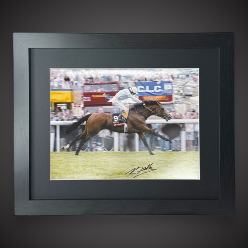 Framed kieren fallon - -, horse