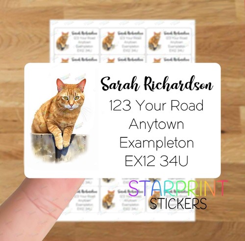 Ginger tabby cat - ginger, personalised
