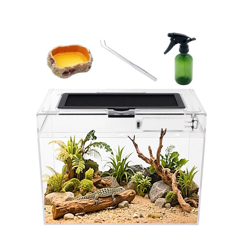 Reptile growth mini - growth,