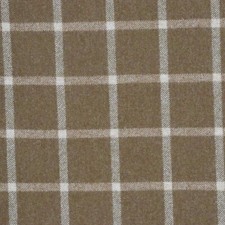 Abraham Moon Reflection Camel