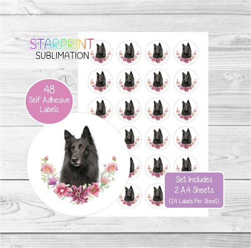 Belgian shepherd dog - belgian,