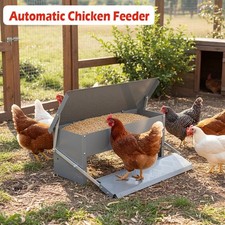 Automatic Chicken Feeder