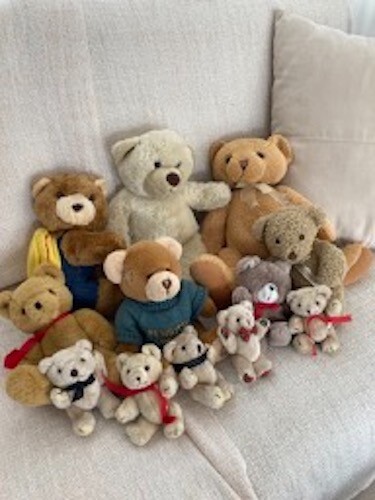 Collection teddy - collection, 12