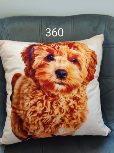 Apricot cockapoo design soft - cockapoo,