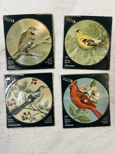 New real bird calls stories - real, &
