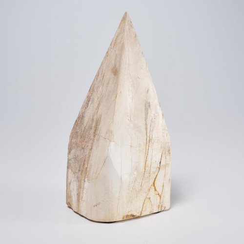 Cb2 petrified wood - wood, spire