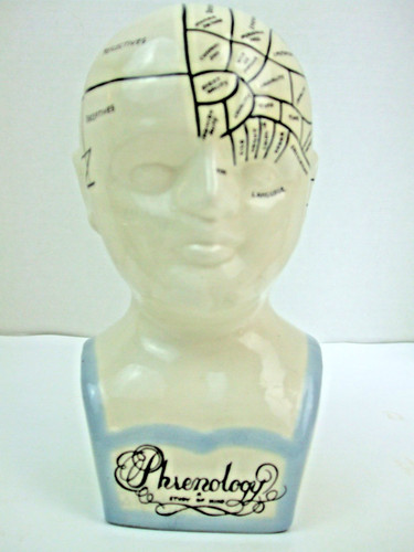 Phrenology study mind head - phrenology, of