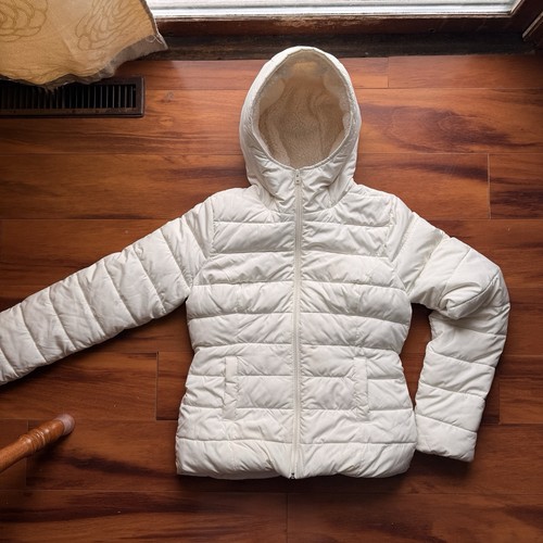 Hollister puffer jacket - puffer,