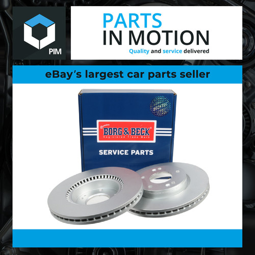 Brake discs pair - discs,