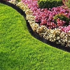 FlowerBed Lawn Landscape