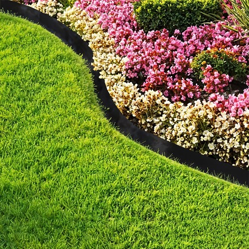 Flowerbed lawn landscape - lawn,