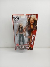 WWE Kaitlyn Diva Best Of 2013