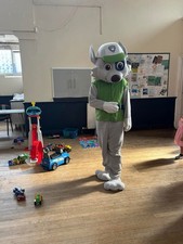 Paw Patrol Rocky Mascot