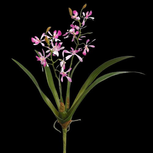 Artificial mini cattleya - artificial,