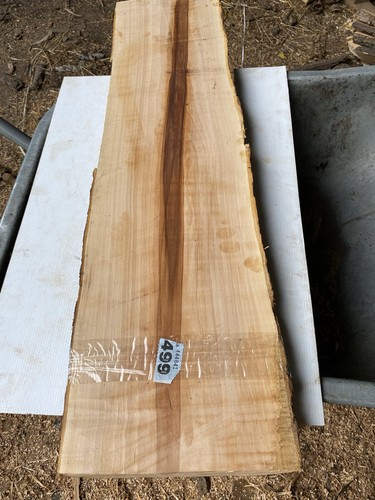 Apple plank wood - apple, plank,apple