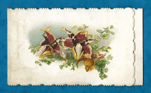 Victorian christmas card - victorian,