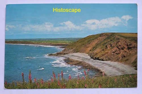 Postcard used widemouth bay - used,