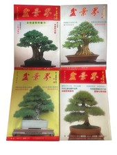 Vintage Lot / 4 Bonsai World