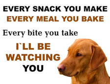 Funny  Cute Red Fox Labrador dog House Rules pet metal wall sign funny gift