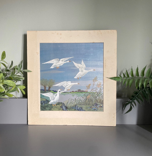 Flying geese iridescent - flying,