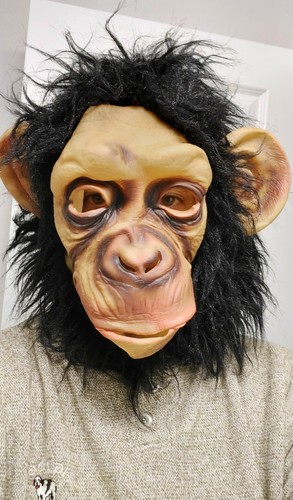 Chimp mask adult chimpanzee - chimp,