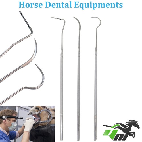 Equine horse dental mouth - equine,