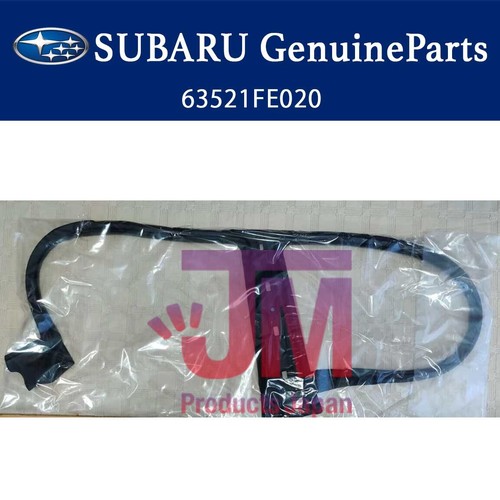 Subaru side roof - roof, weather