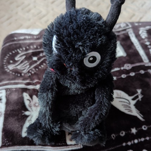 Sainsbury plush stuffed - sainsbury's,