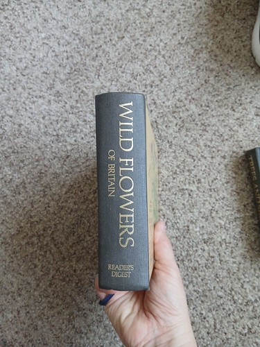 Field guide wild flowers - to,