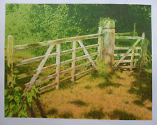 NORMAN STEVENS RA 1937-1988 LARGE SIGNED LTD ED SCREENPRINT 'NETTLECOMBE' 1985