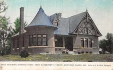 Mountain Grove Missouri State Fruit Experiment Station Antique Postcard J51164
