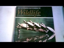 Orbis: The Illustrated