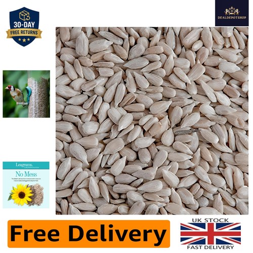 Mess sunflower hearts - no, for