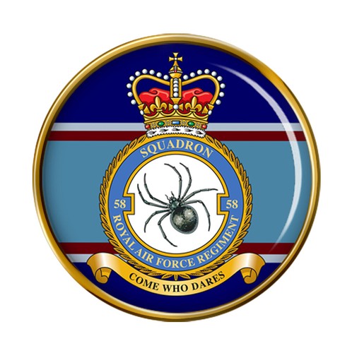Raf regiment squadron pin - regiment, 58