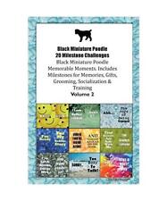 Black Miniature Poodle 20